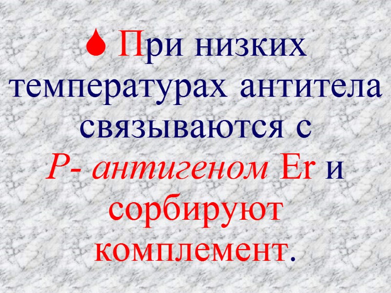  При низких температурах антитела связываются с  Р- антигеном Er и сорбируют комплемент.